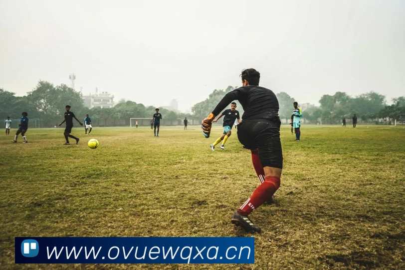 半岛网页版官网发展历程